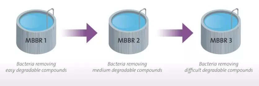 eXeno micropollutant removal process
